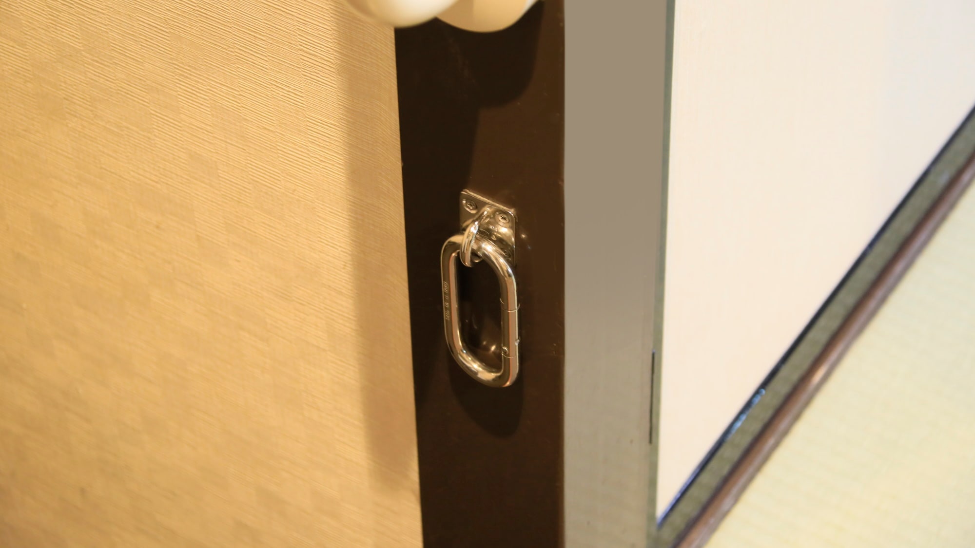 [Common to all dog rooms]