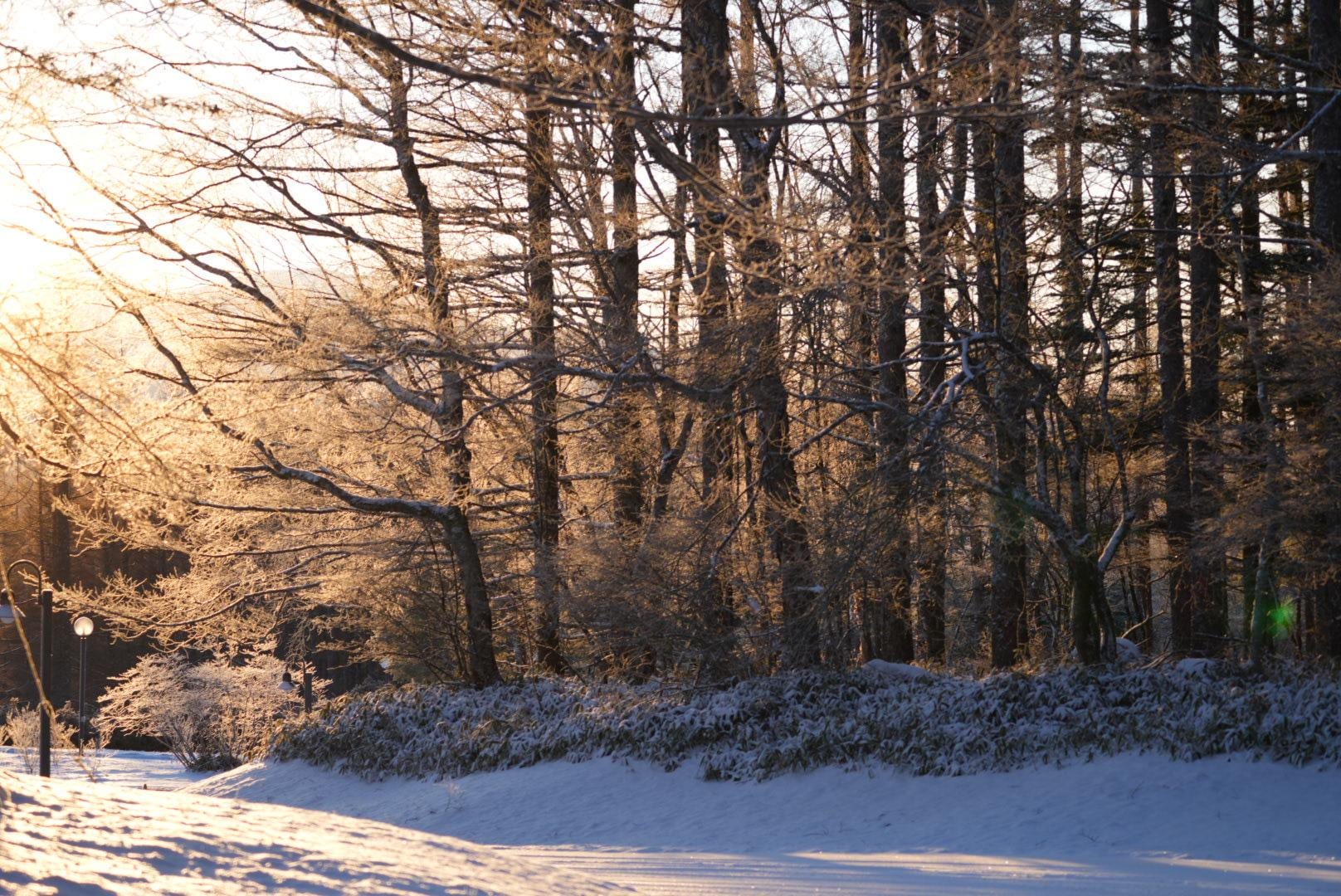 写真 2025-12-27 7 11 08.jpg