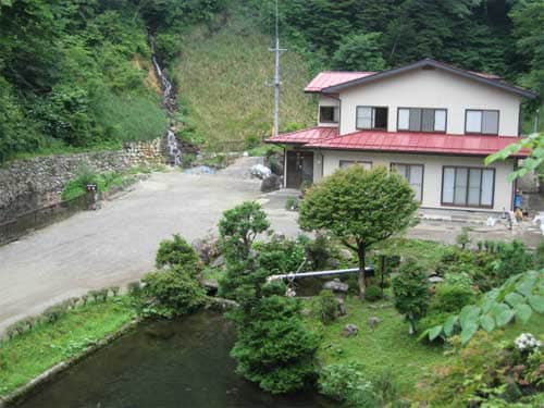 Appearance image