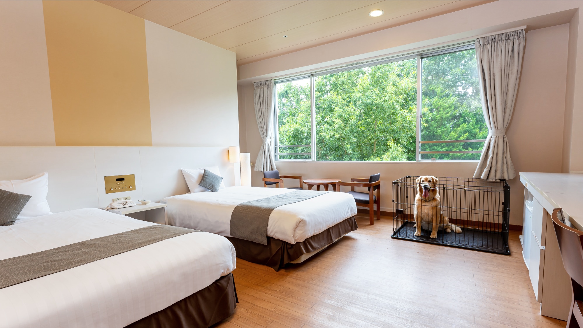 【可携带宠物入住的房间（双床间）】请在预订前务必查看宠物入住条件。