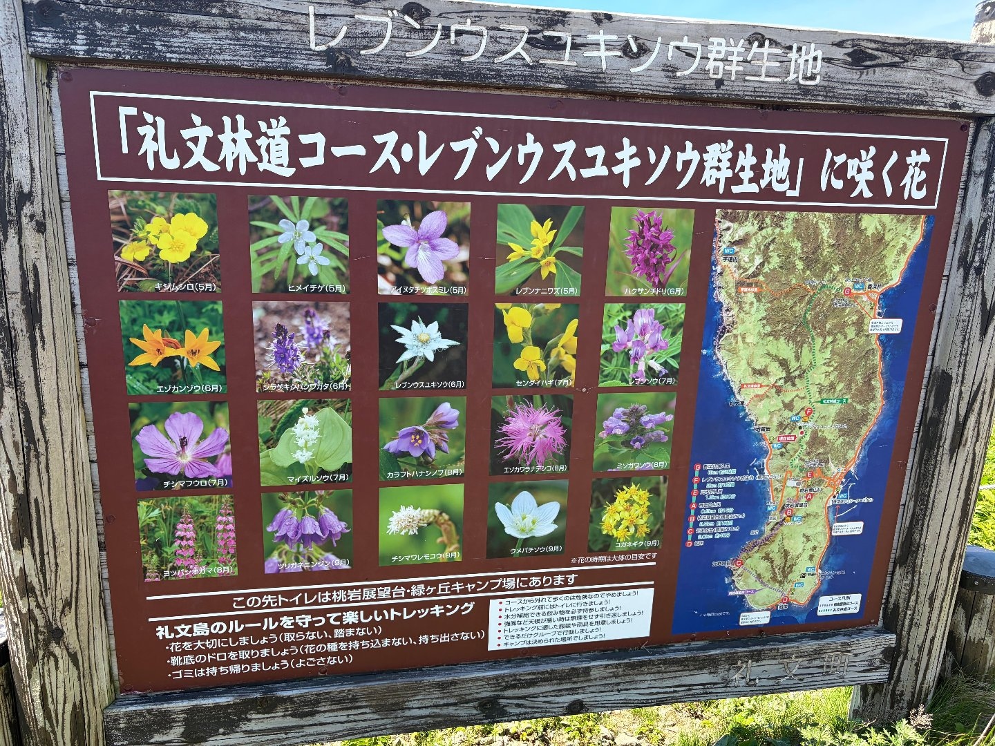IMG_5126.jpeg