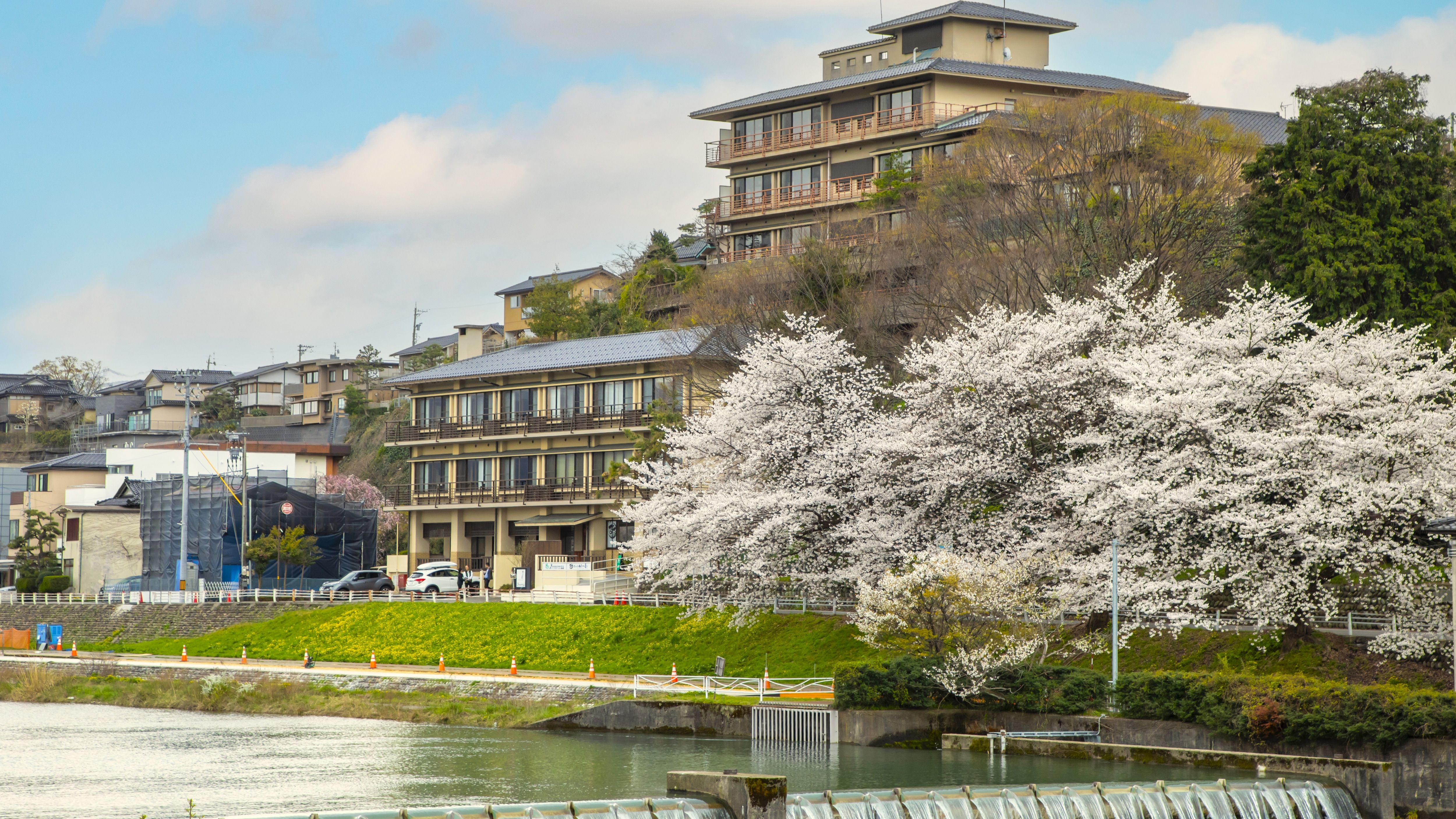 [Exterior] Spring in Kanazawa is beautiful with cherry blossoms. From the end of March to early April, you can enjoy the cherry blossoms while walking along the Sai River that flows in front of the hotel...