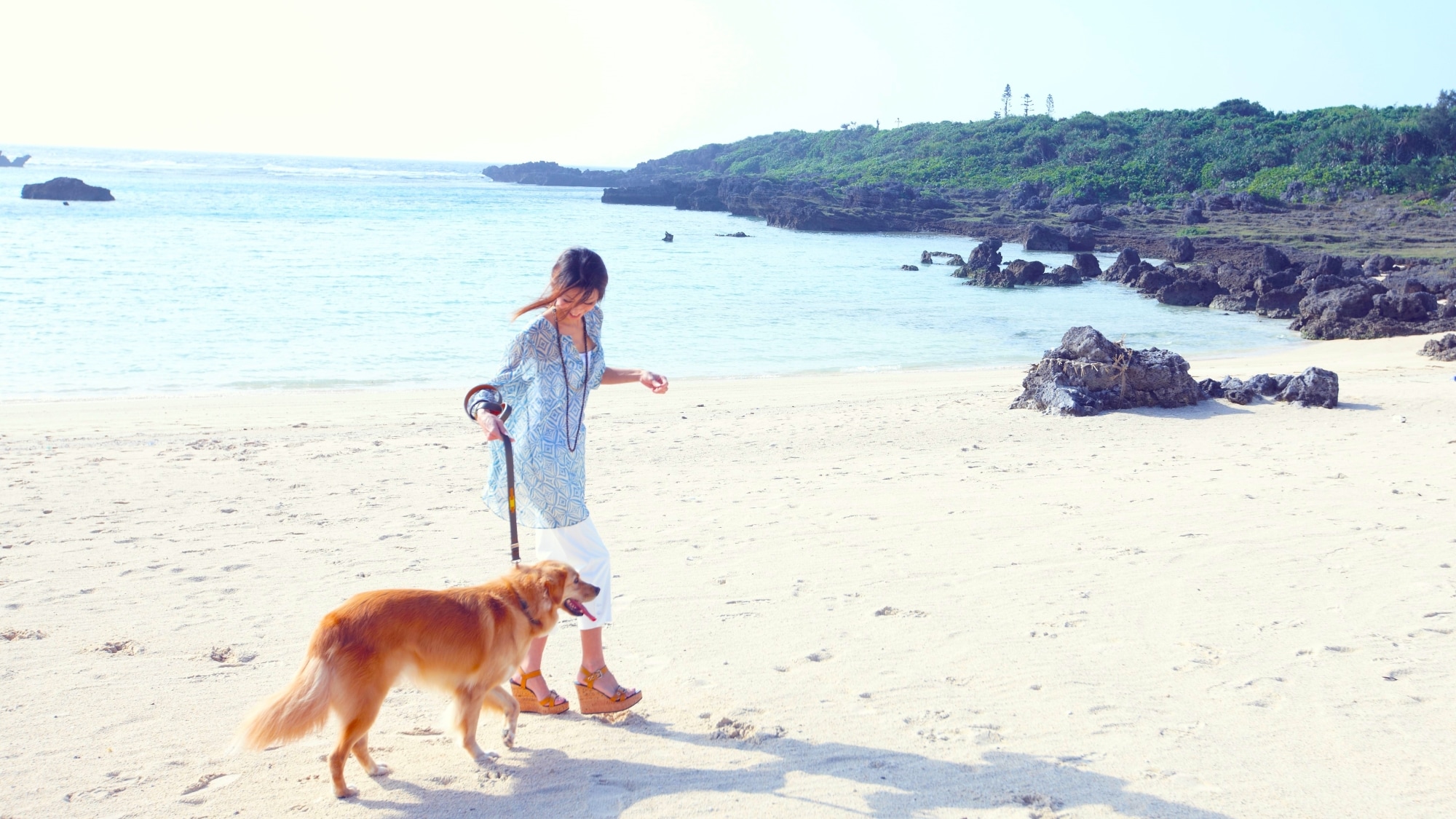 [<Dog Room> Pool Villa Lagoon Suite (1F designated)] Take a walk on the beach with your dog!
