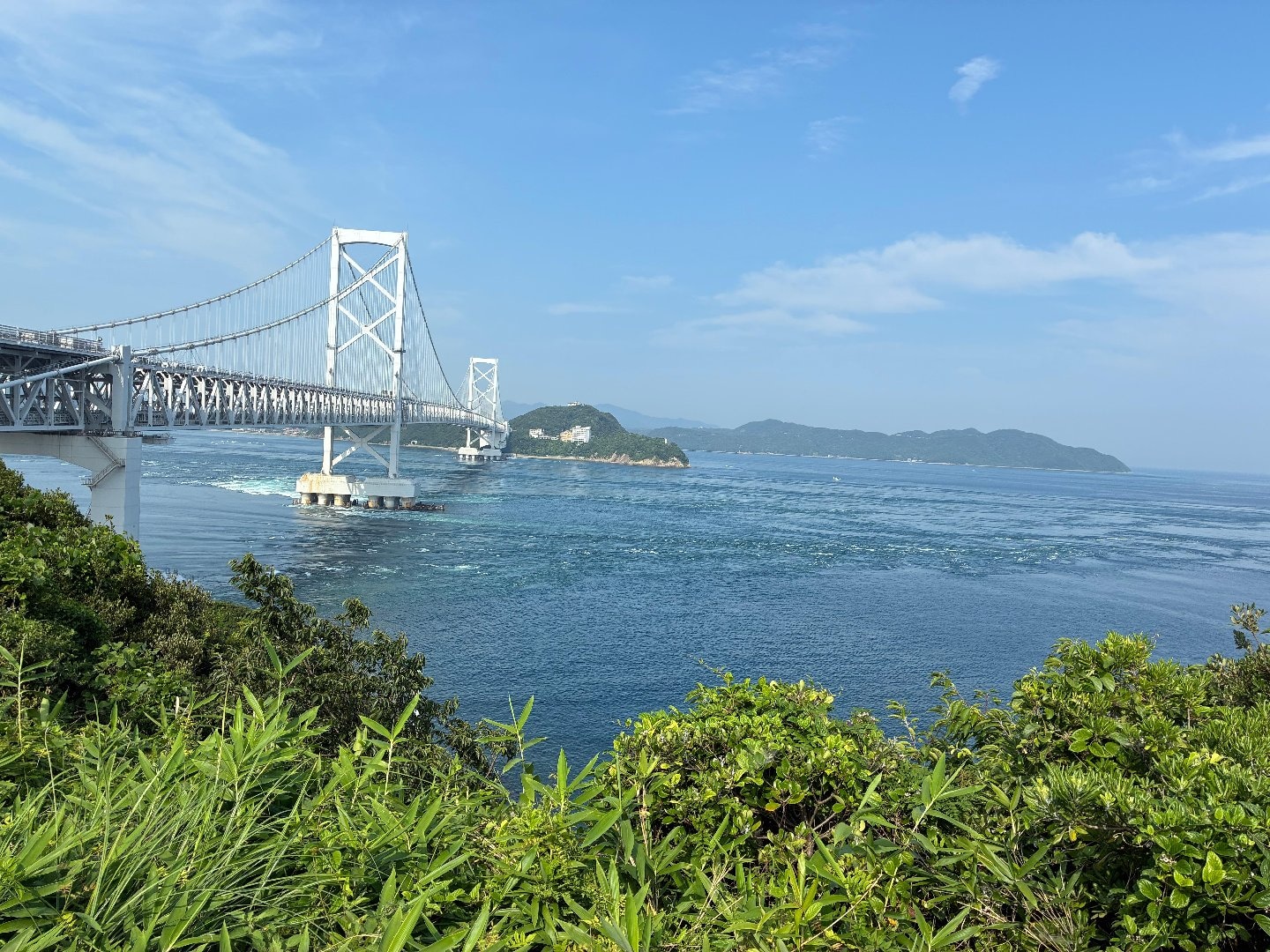 IMG_0079.jpeg