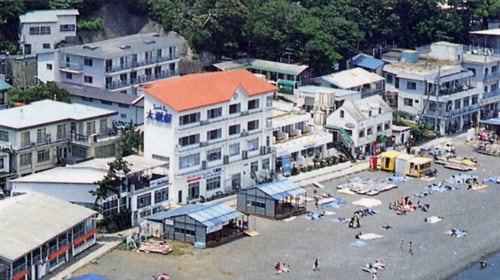 Appearance image