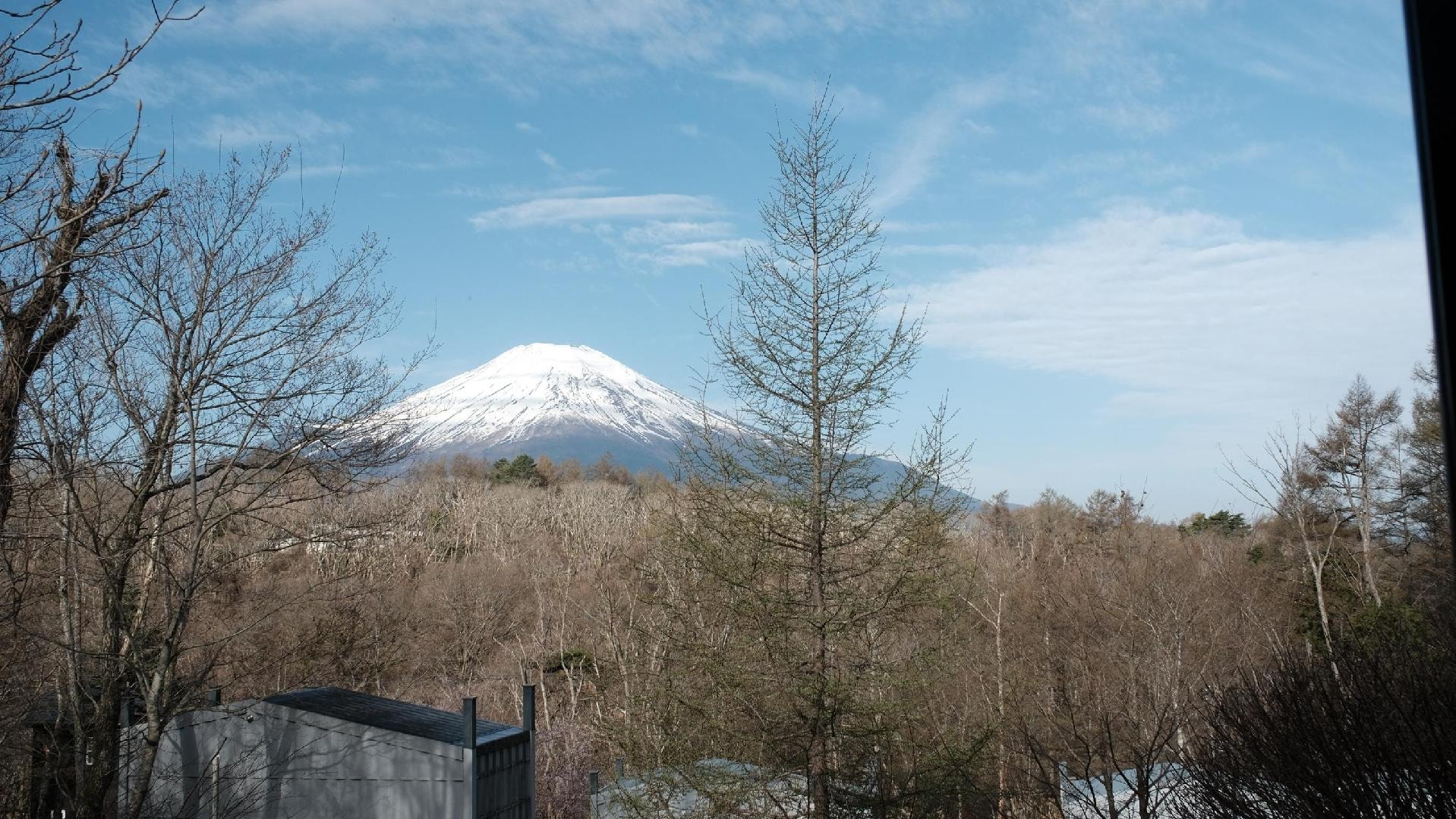 46C3-BECA-0561EBC2E950-34055-00000FE00AD0CA0B.jpeg
