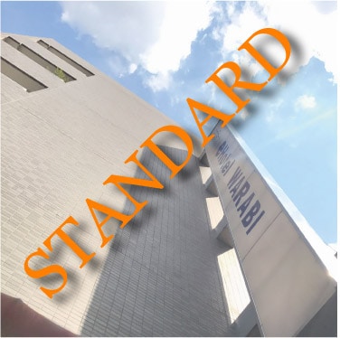 [If you can't decide, choose this!] E-Hotel Standard Plan <Breakfast included>