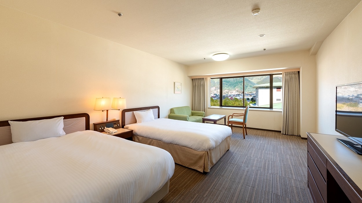 Standard western style room