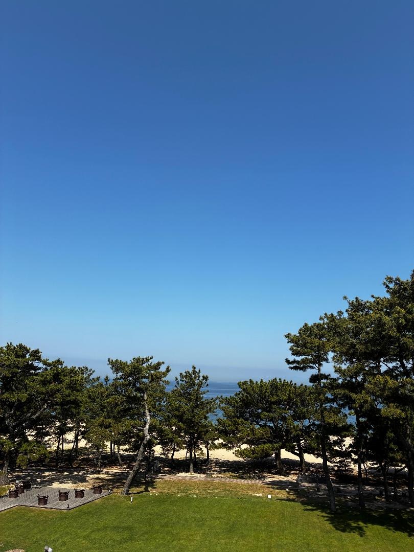 4883341A-752D-4556-A8E9-26C22543D3C7.jpeg