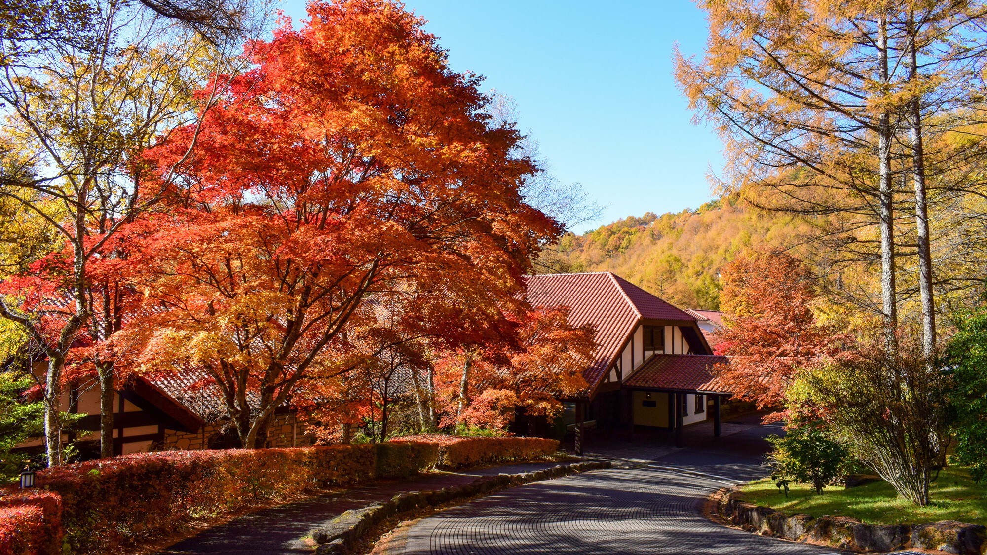 Hotel entrance in autumn