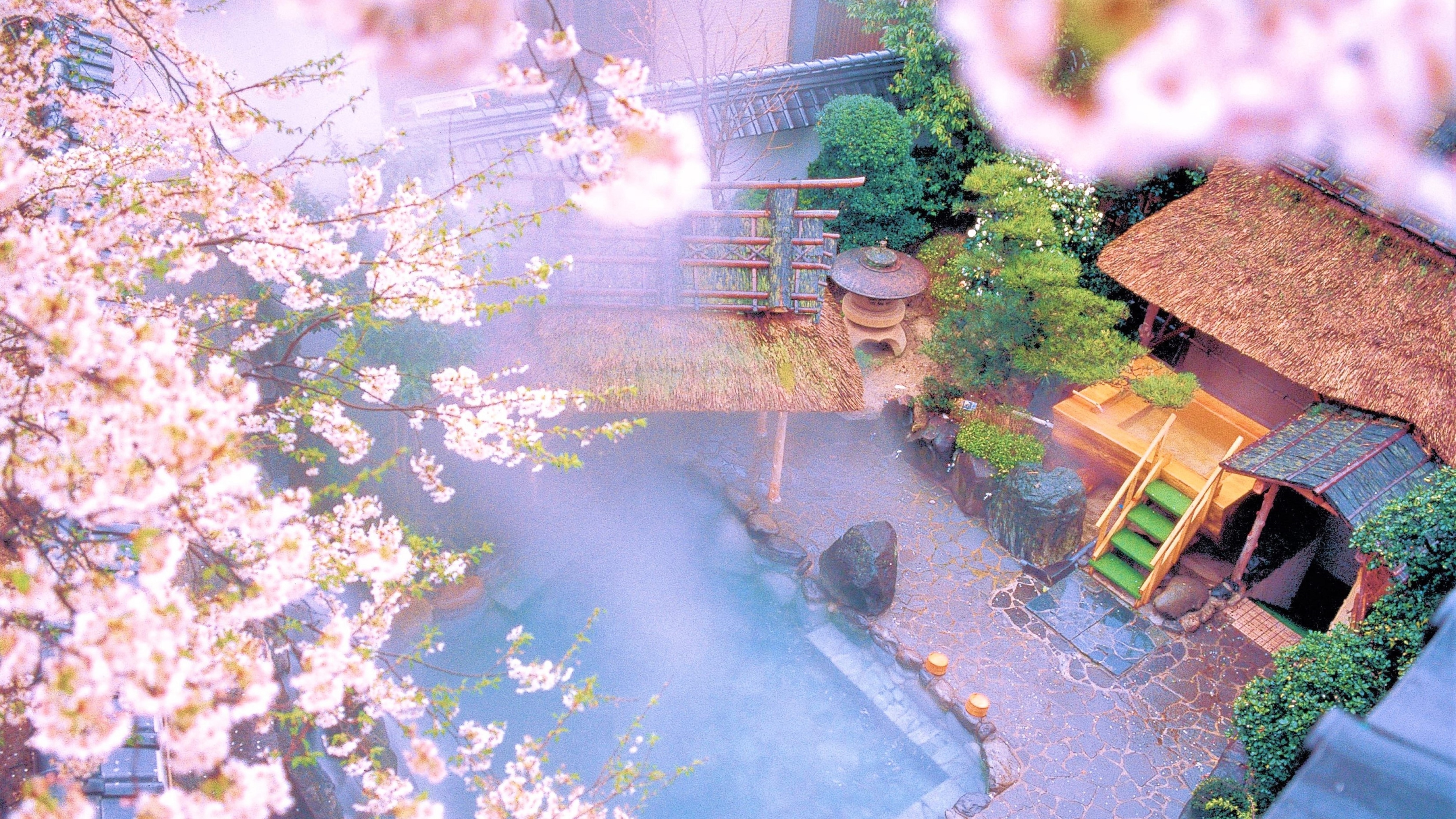 浅野家引以为豪的樱花盛开的露天浴池-织姬