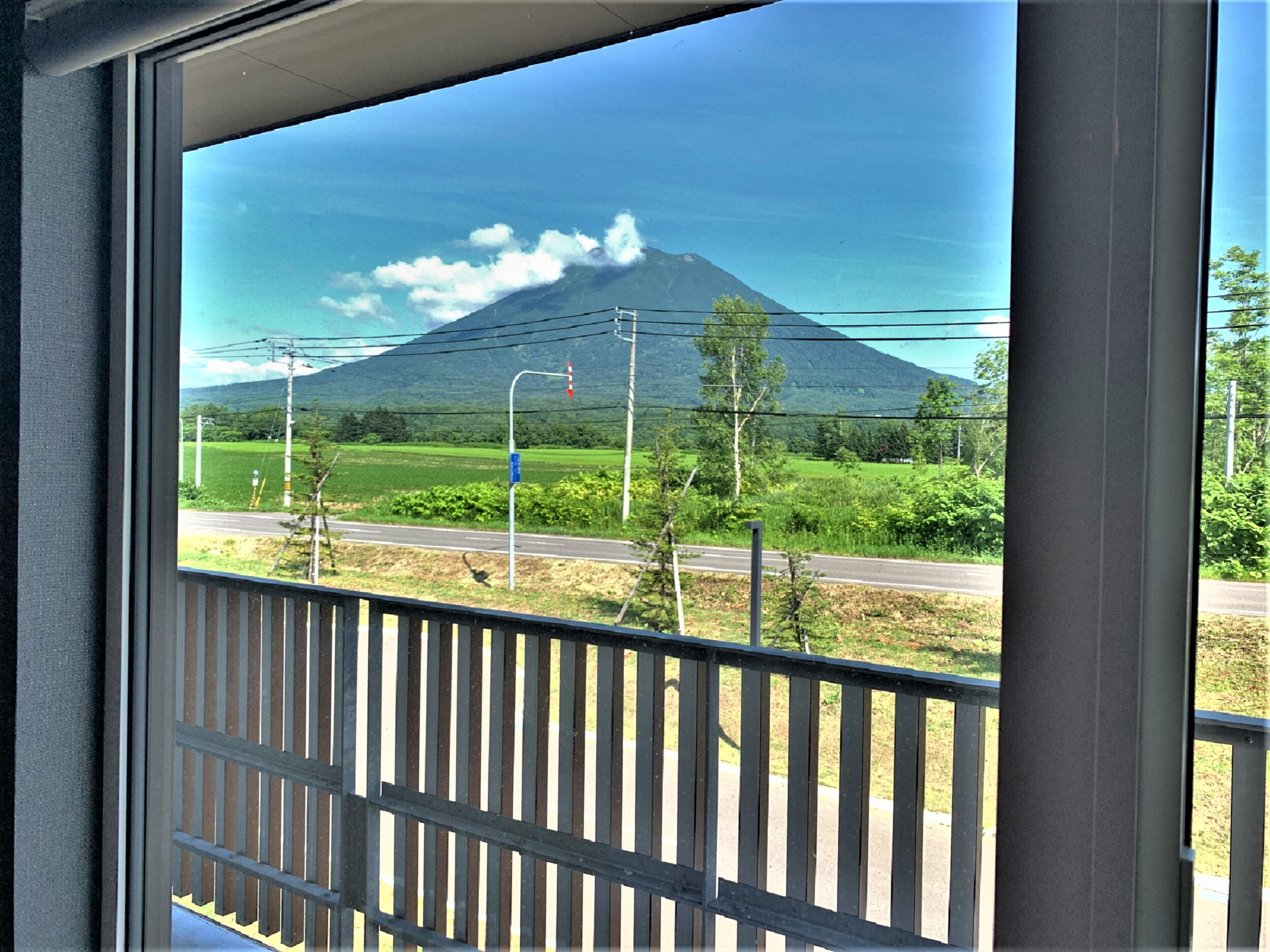 View from the room