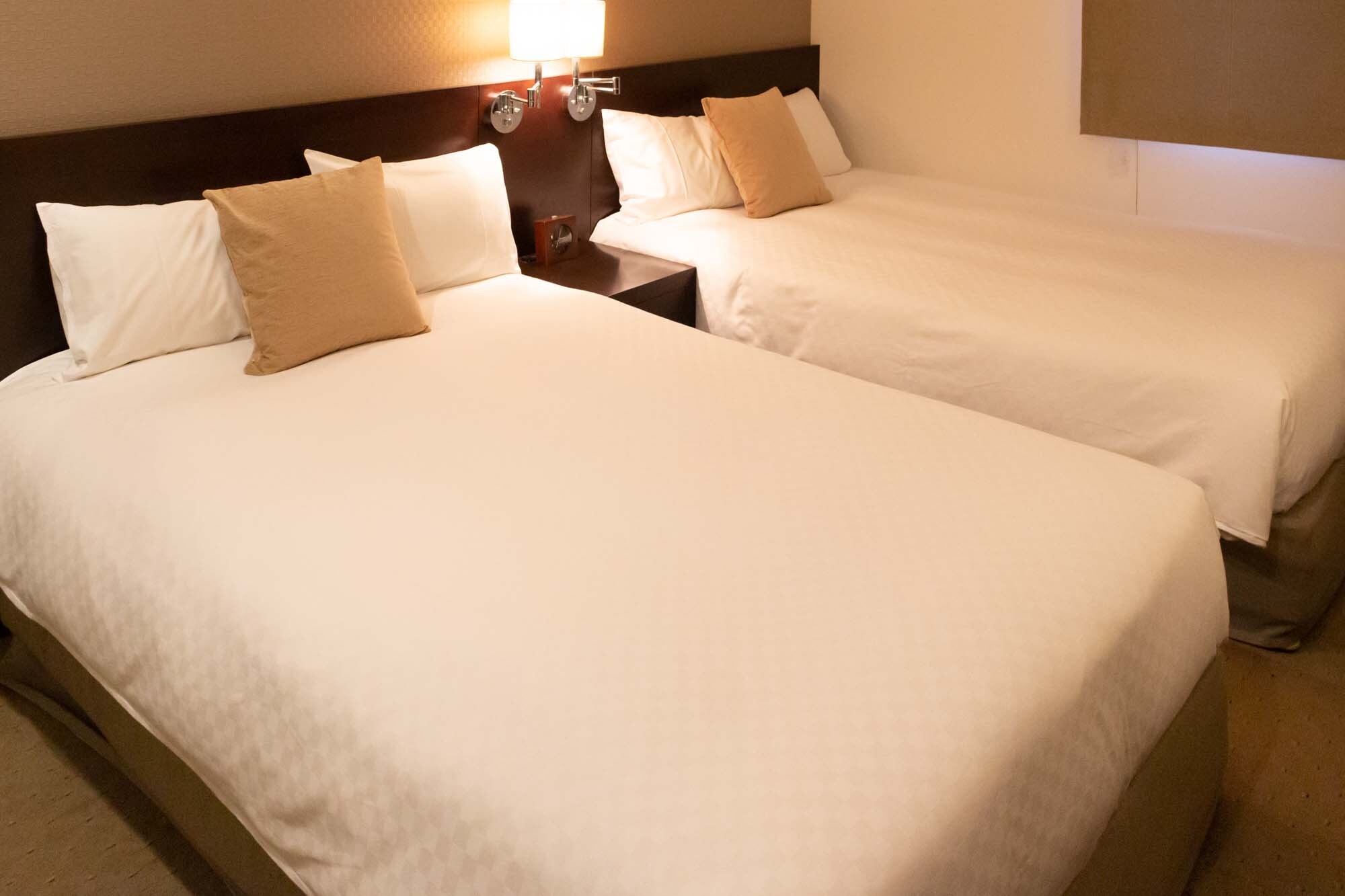 高級雙床房（帶浴缸）