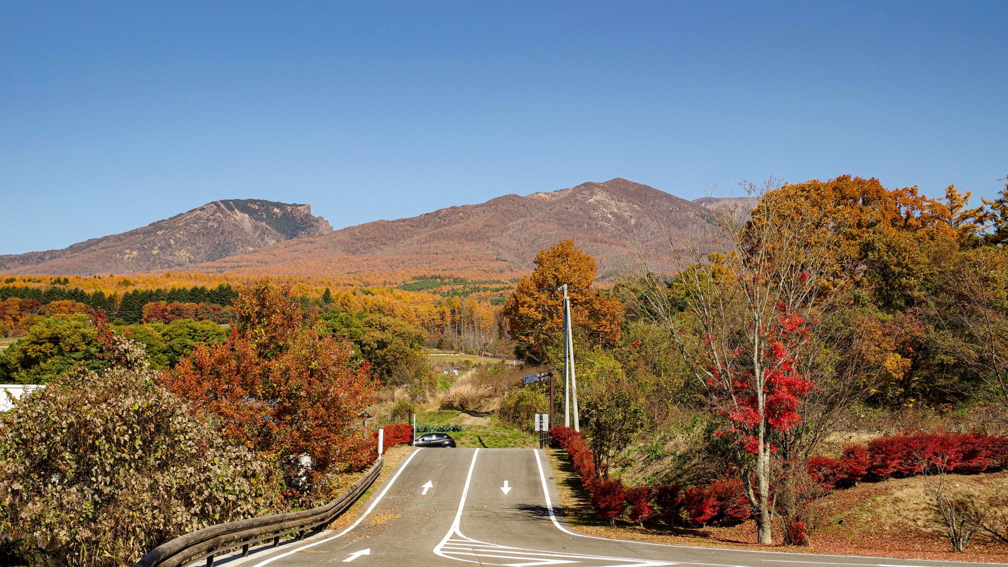 [Mount Asama] An active volcano at an altitude of 2,568m where you can see a variety of alpine plants from early summer to autumn (Autumn)
