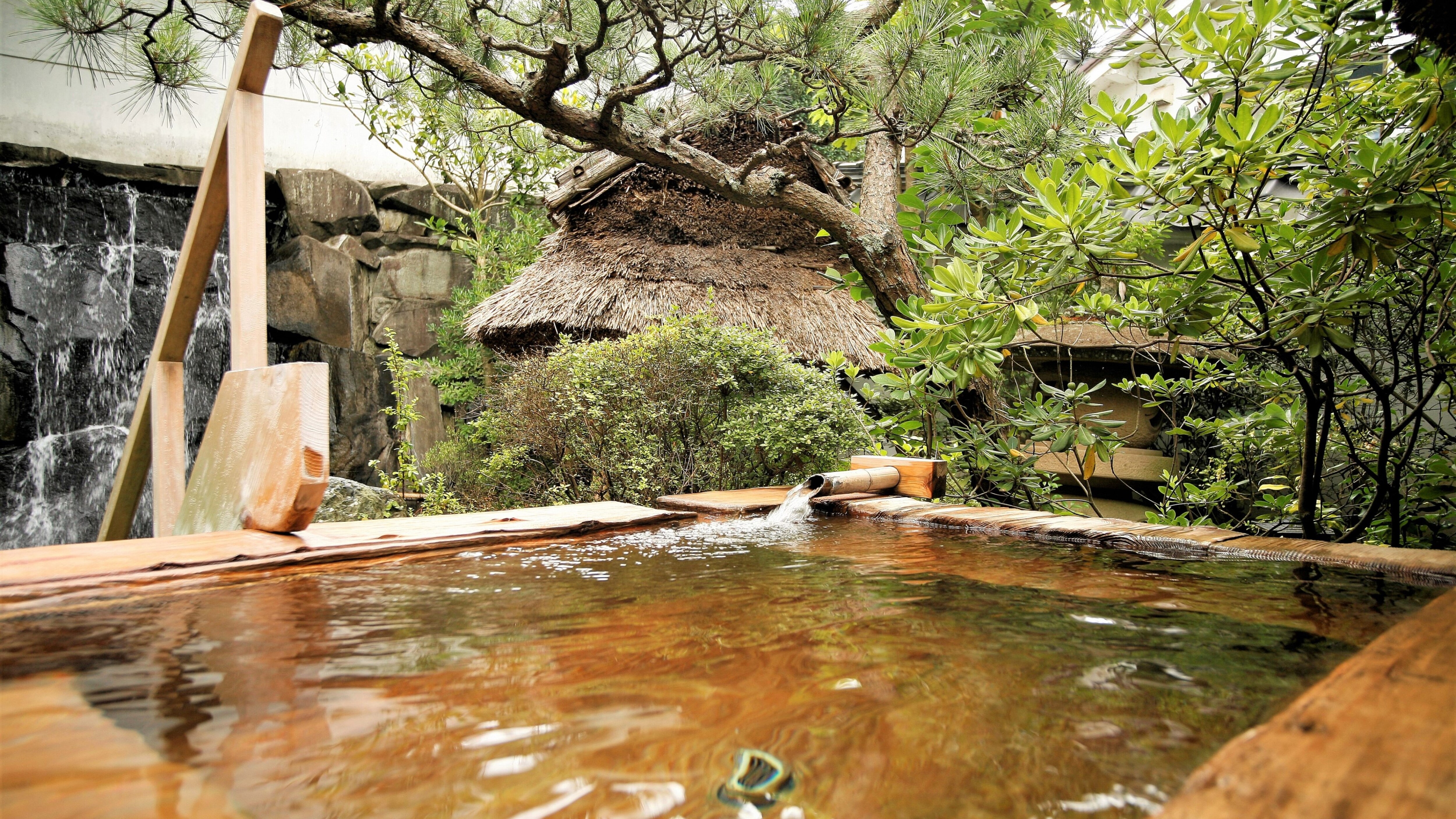 Summer cypress open-air bath-large communal bath