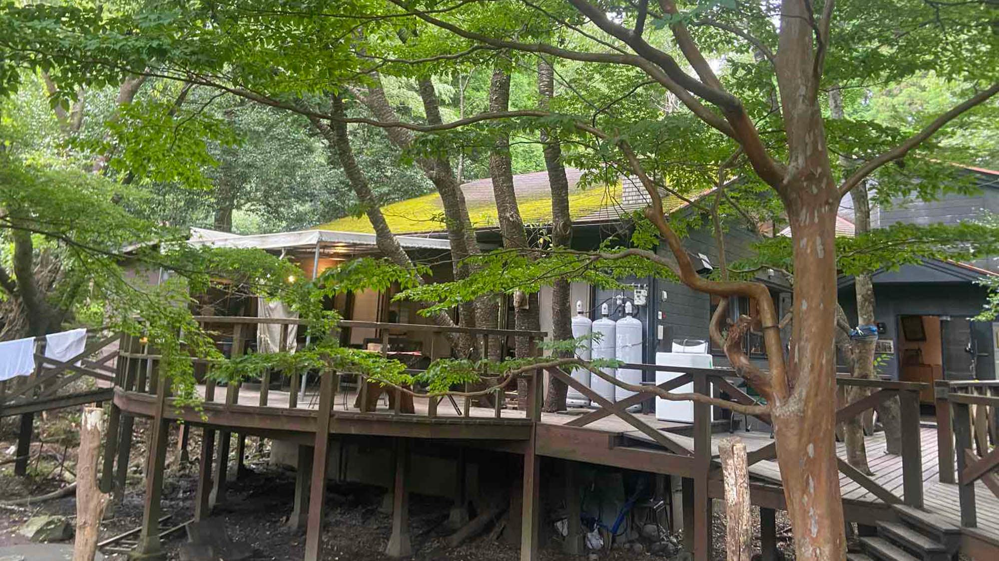 ・[Facilities/Exterior] Forget the hustle and bustle of everyday life and enjoy a moment of relaxation surrounded by lush greenery.