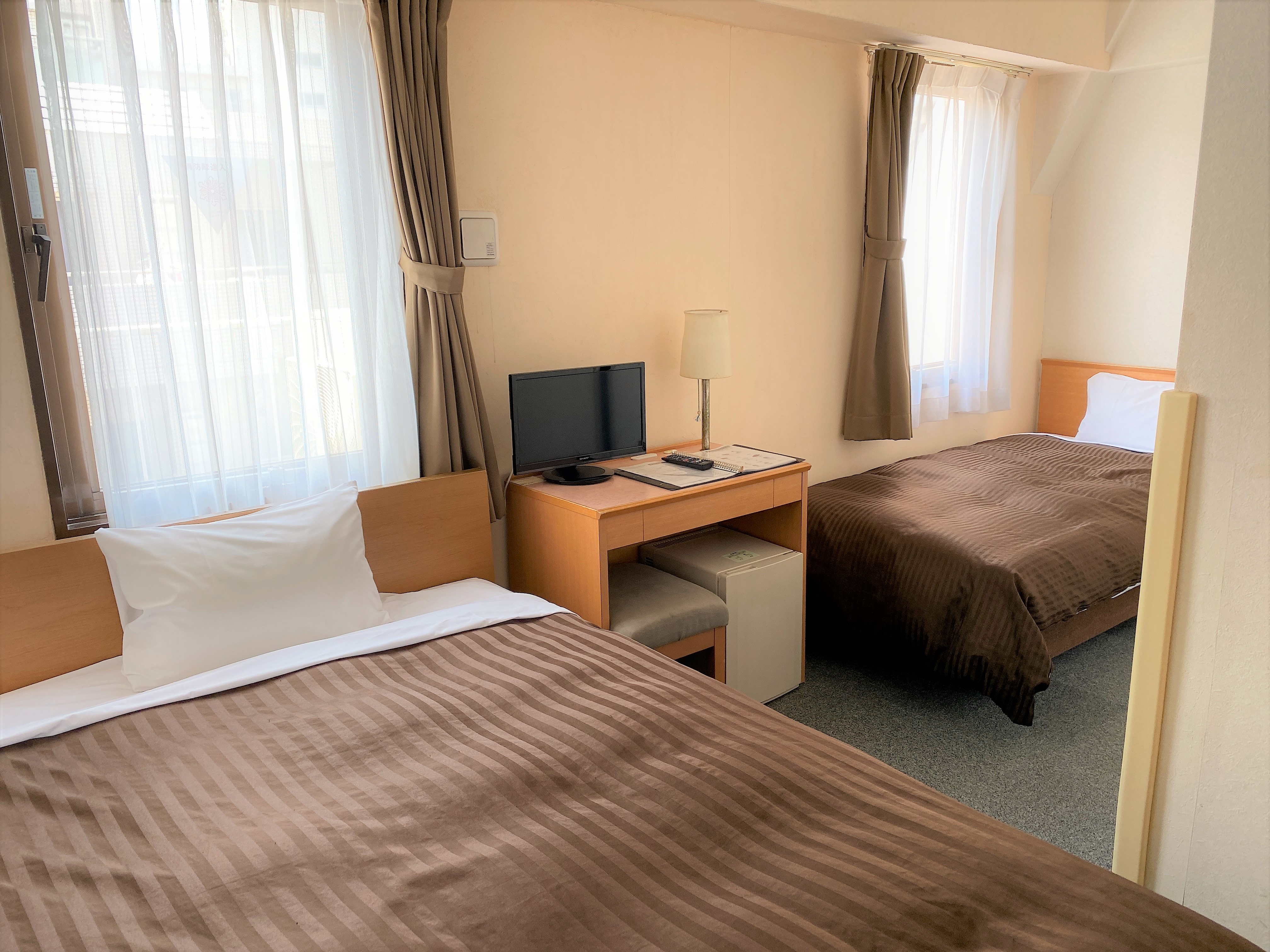 Twin room (for 2-3 people)