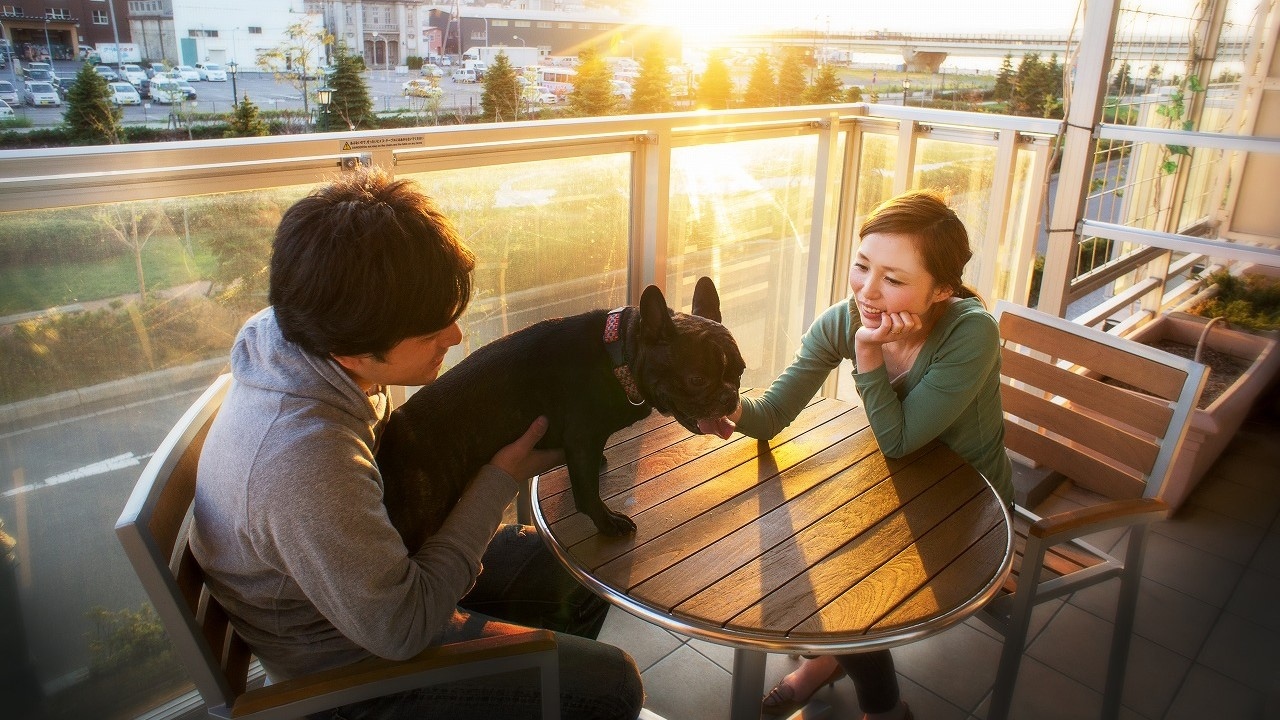 Dog friendly room (41㎡)