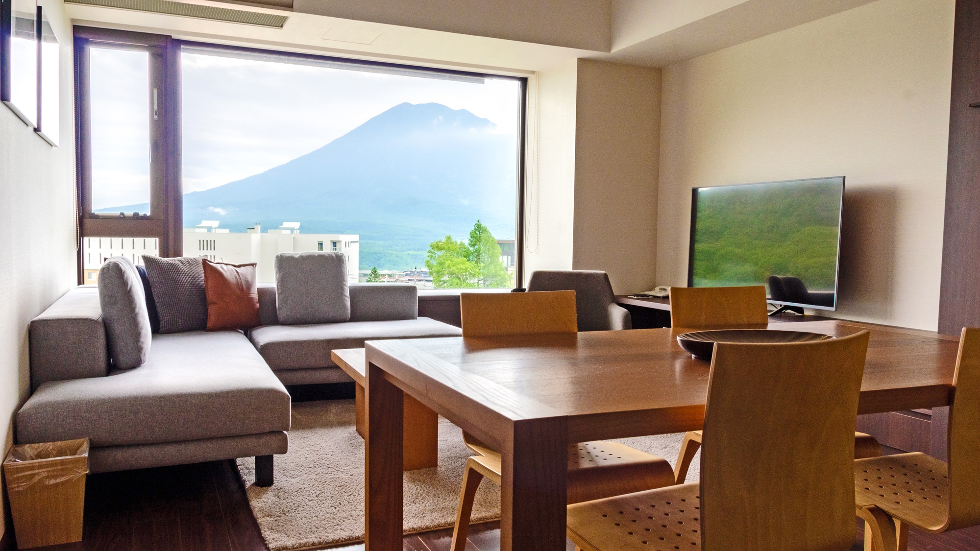 Living room [1 bedroom DX]