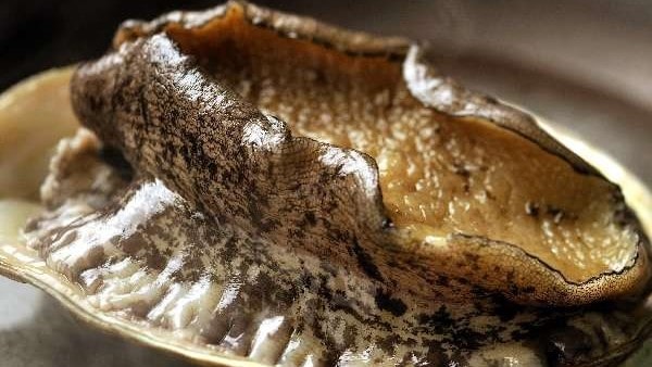 [Bào ngư nướng nhảy múa] Bào ngư mềm và tươi, mang hương vị của bờ biển