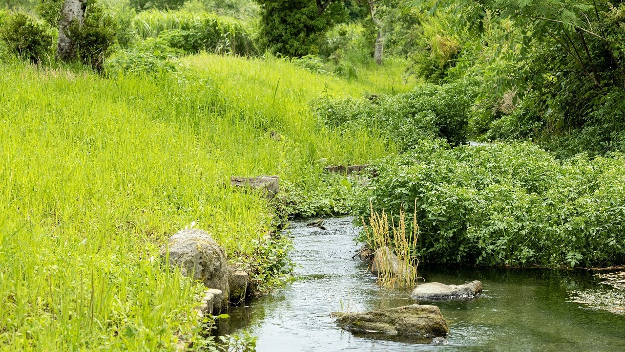 Sebuah sungai yang mengalir di dekat Shirasagi-so