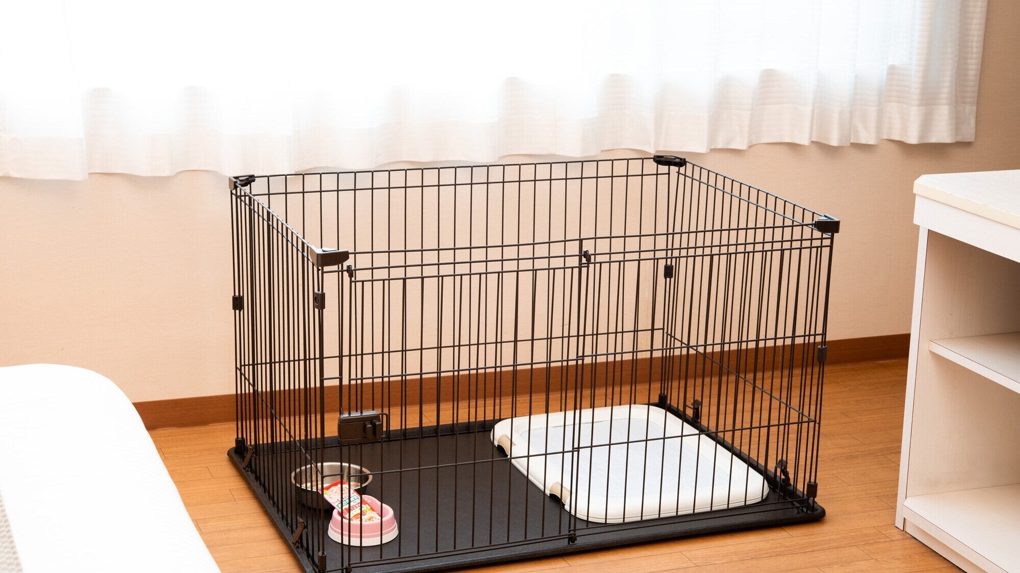 【완짱룸】케이지