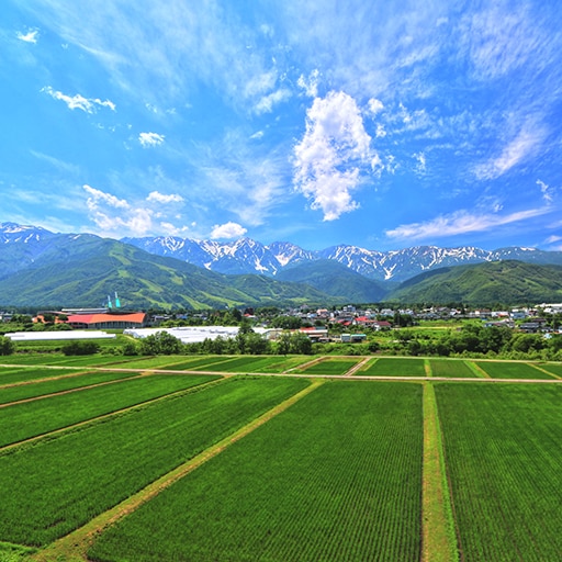 [Summer] Enjoy the panoramic view of the Alps from Tenjinzaka (2-minute walk)