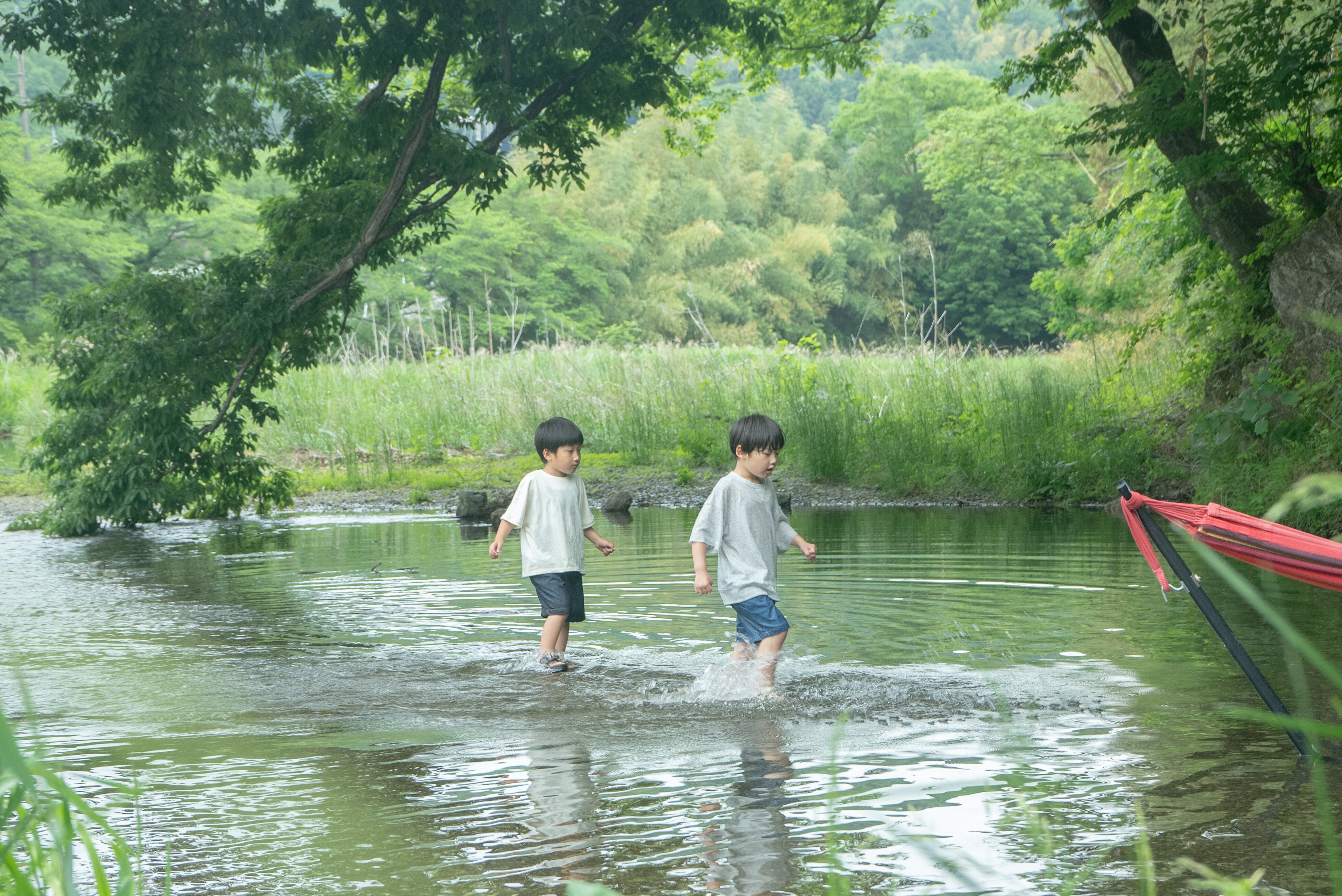 Fresh green season: Playing in the river