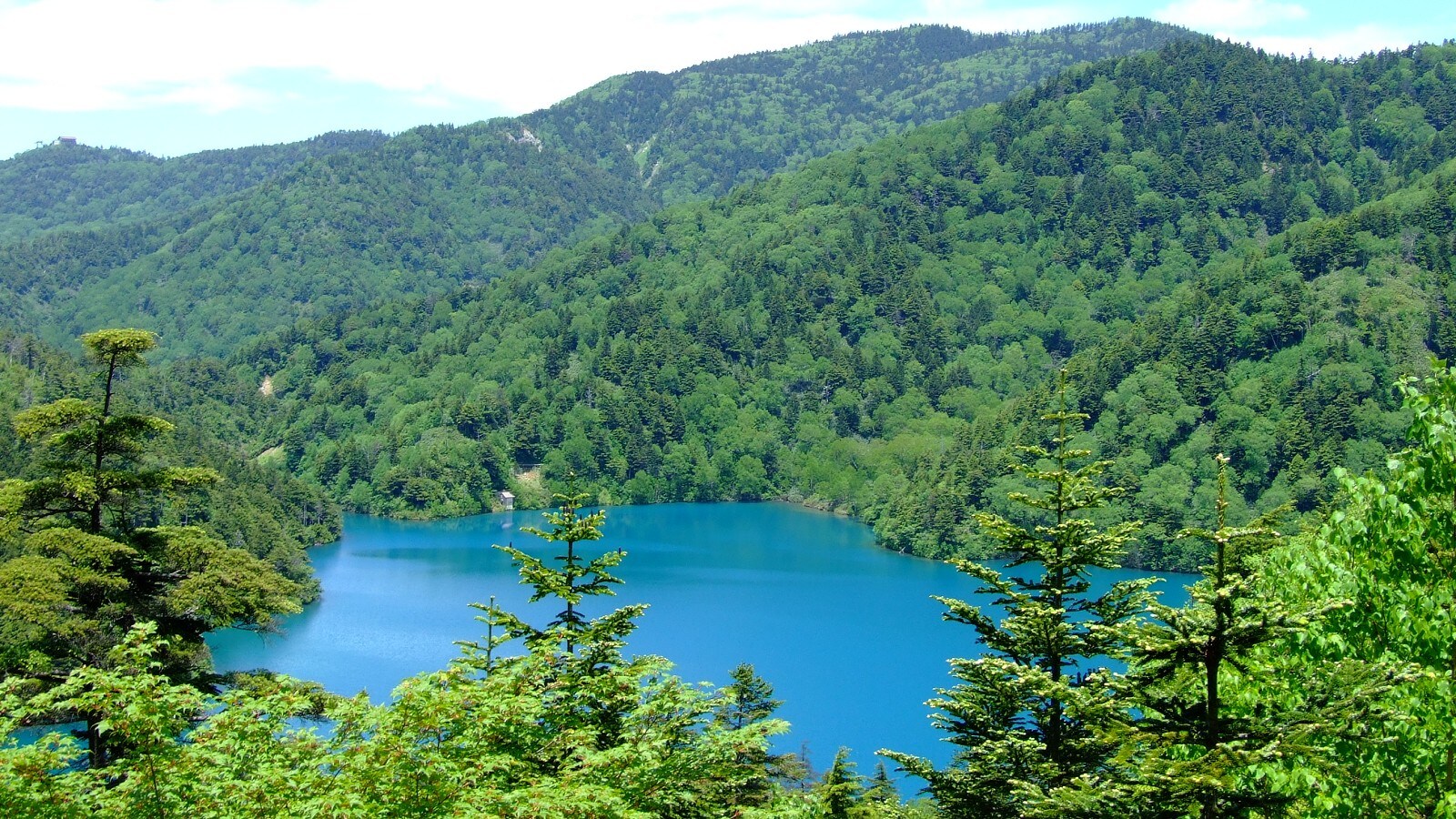 大沼池美麗的藍色