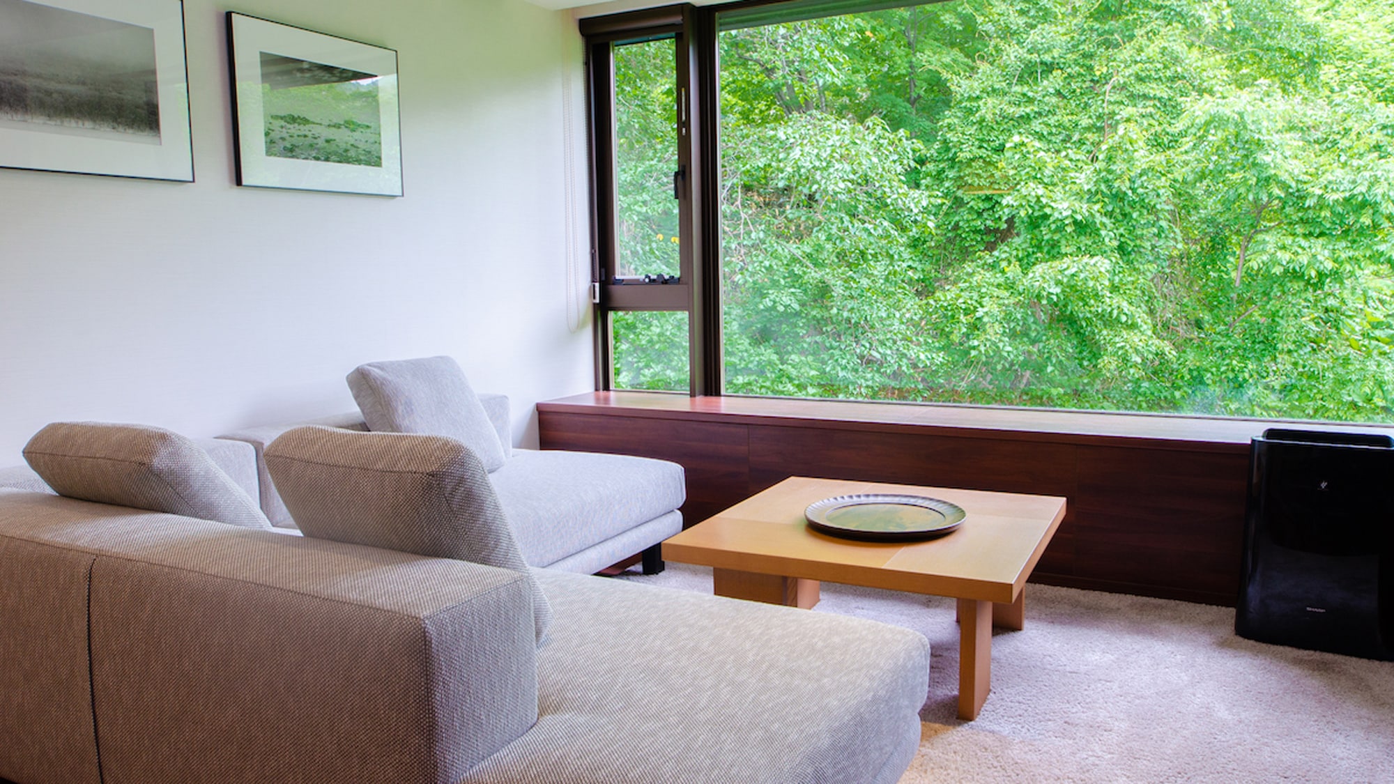 [1 bedroom / 2 bedroom] Living room