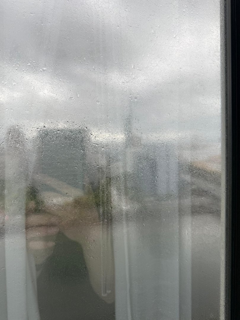 51ED3FA3-B01D-47B5-BCB5-F54D0649A1FF.jpeg