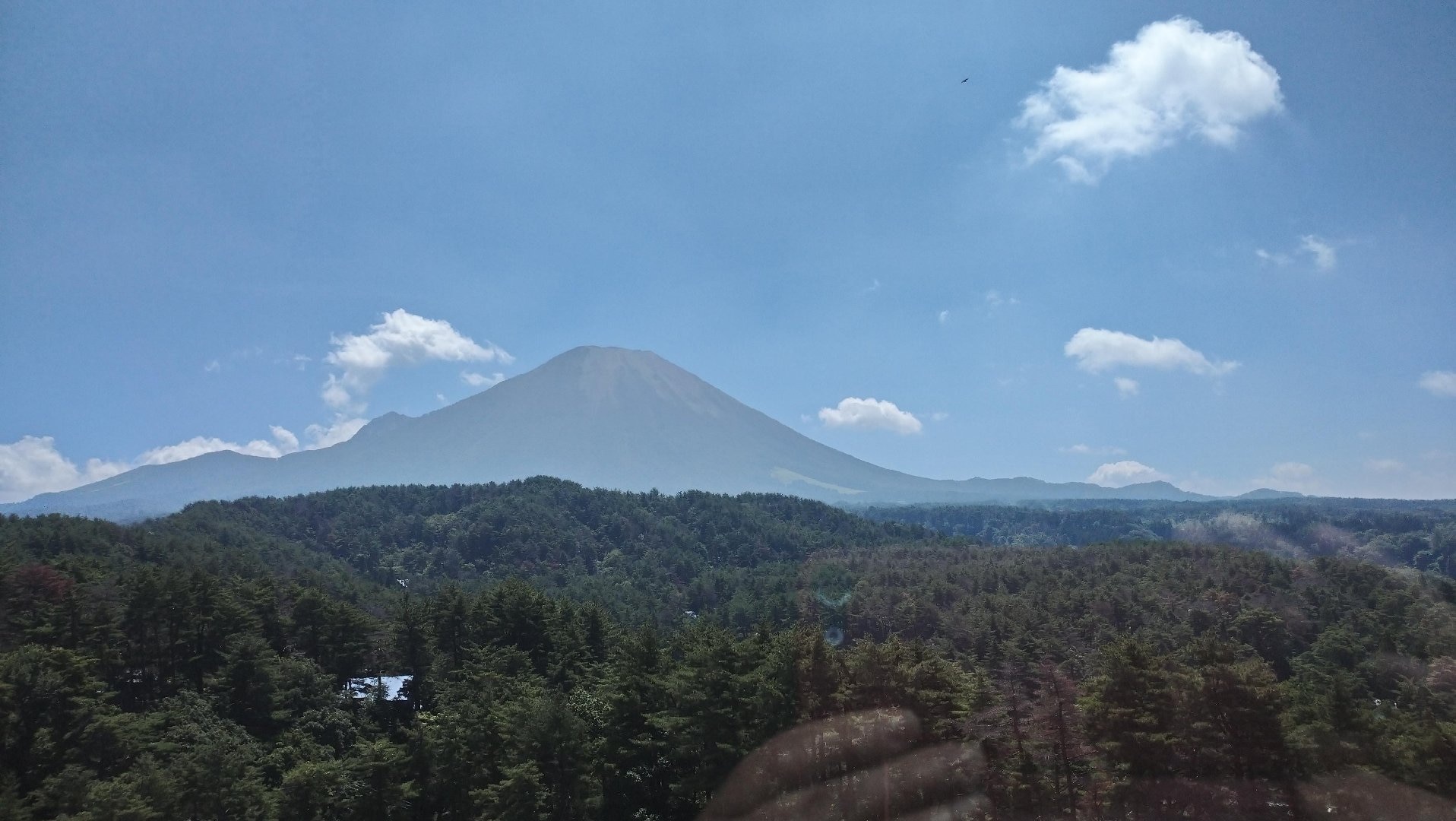DSC_2528.JPG