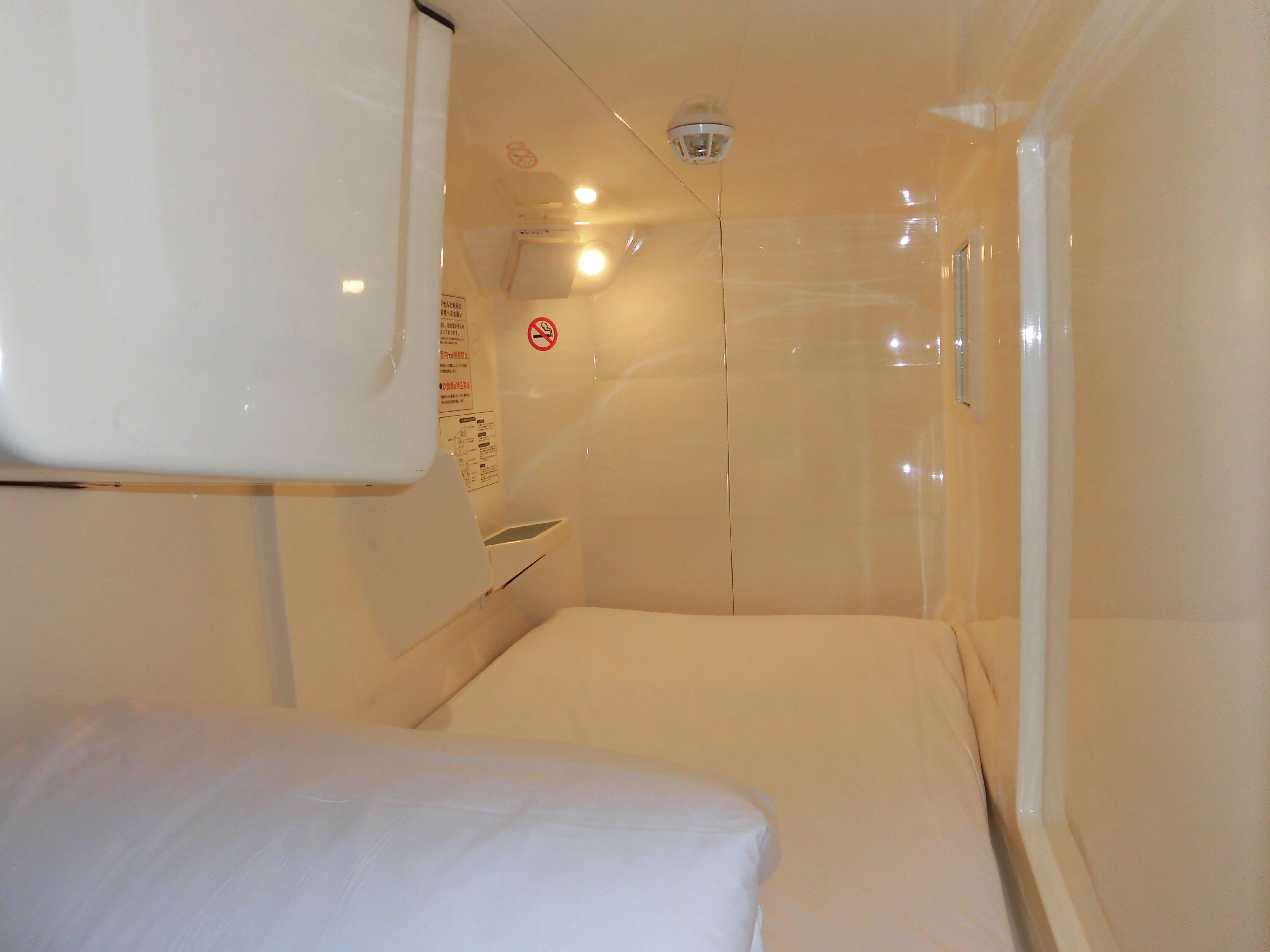 Inside the capsule