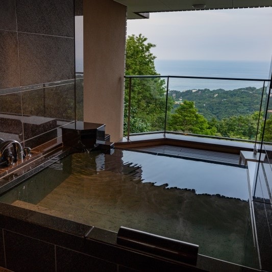 Deluxe Terrace Twin B1 (Pemandian terbuka)