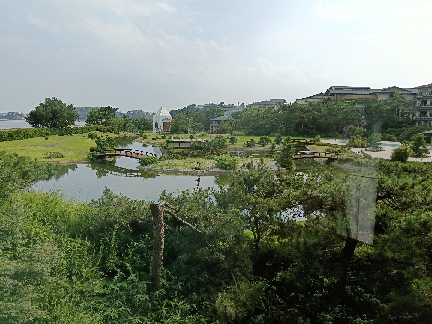 600.jpg