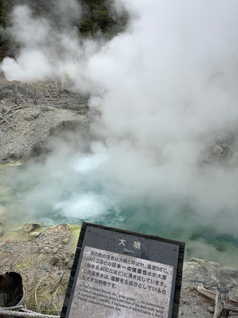 効能溢れる癒しの湯治宿 玉川温泉 に実際に泊まった方のクチコミ