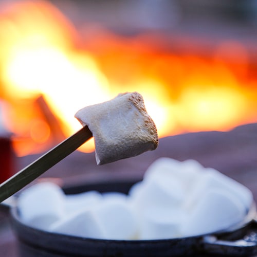 [Autumn / Free] Bonfire Cafe