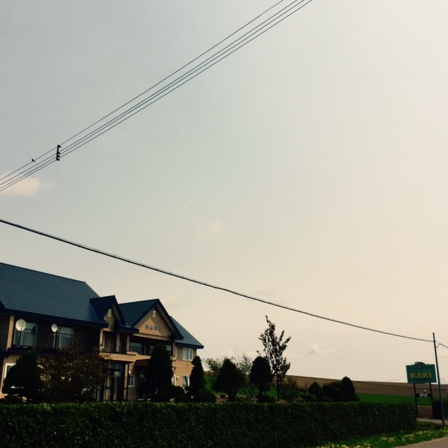 Hình ảnh xuất hiện②