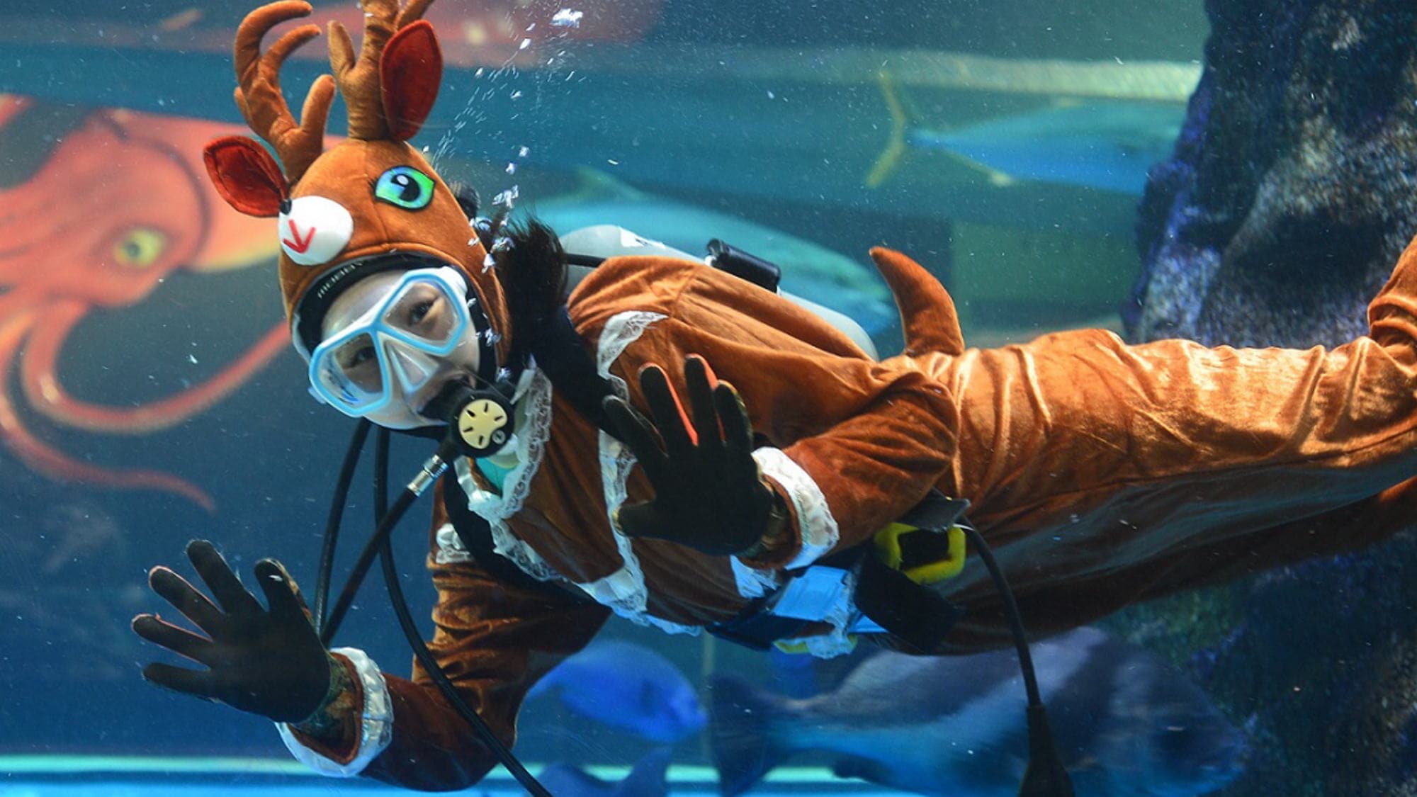 冬天的鱼津水族馆