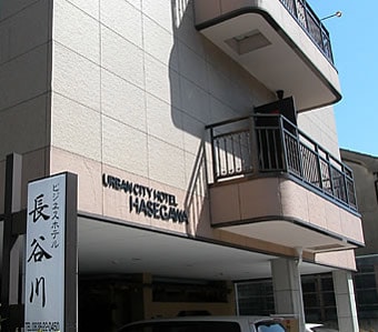 Appearance image