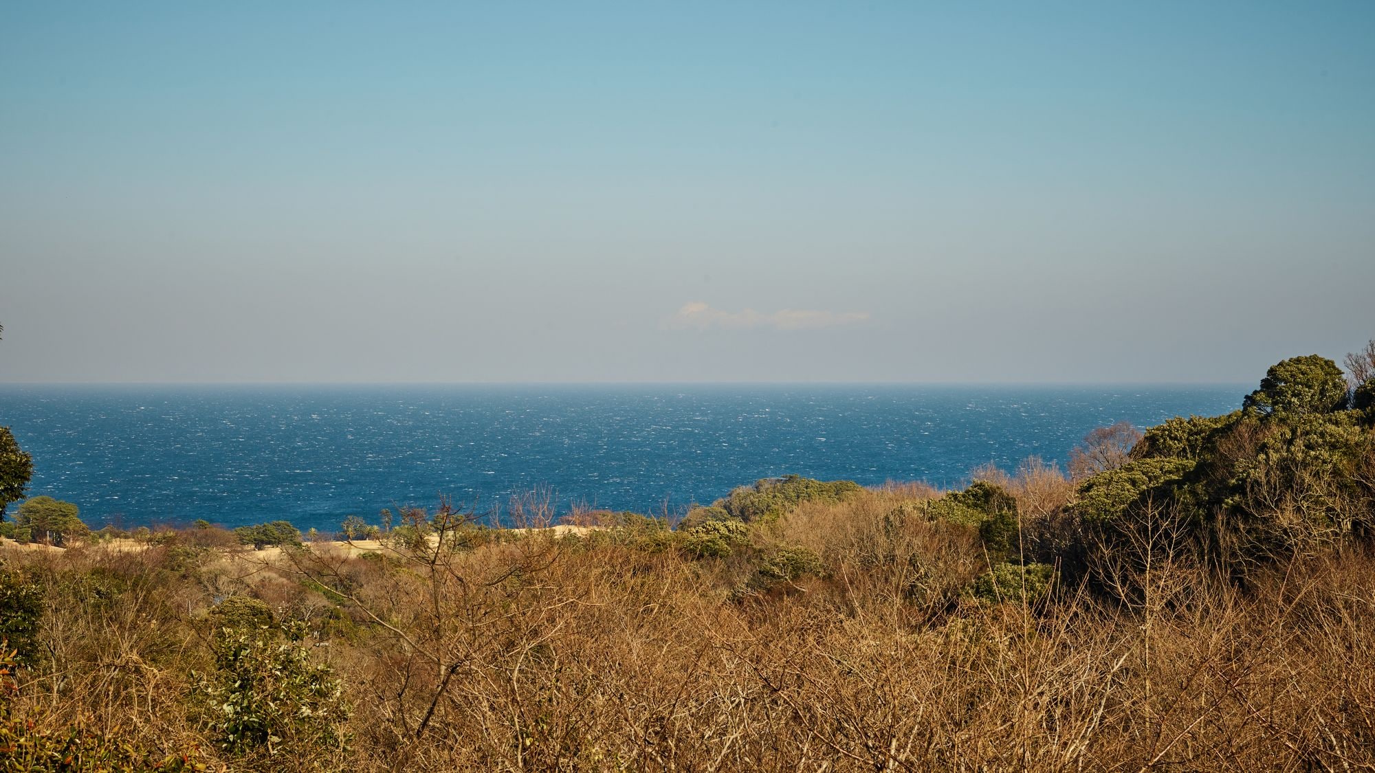 Sagami Bay as seen from the guest room