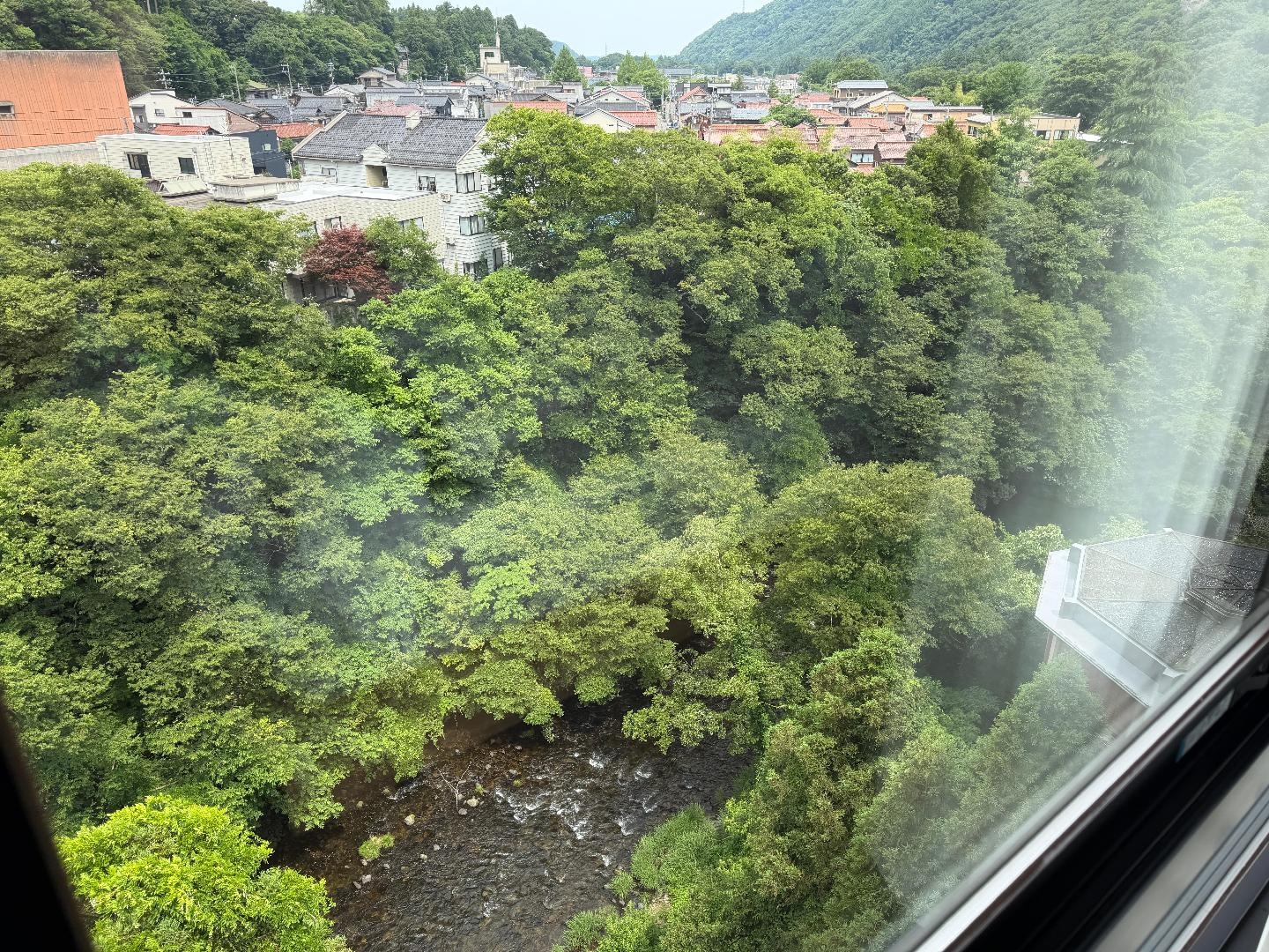 IMG_1977.jpeg
