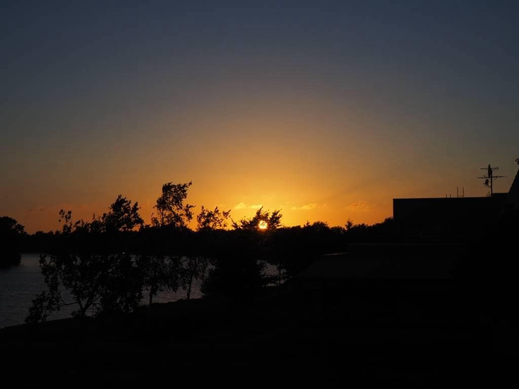 4459.jpg