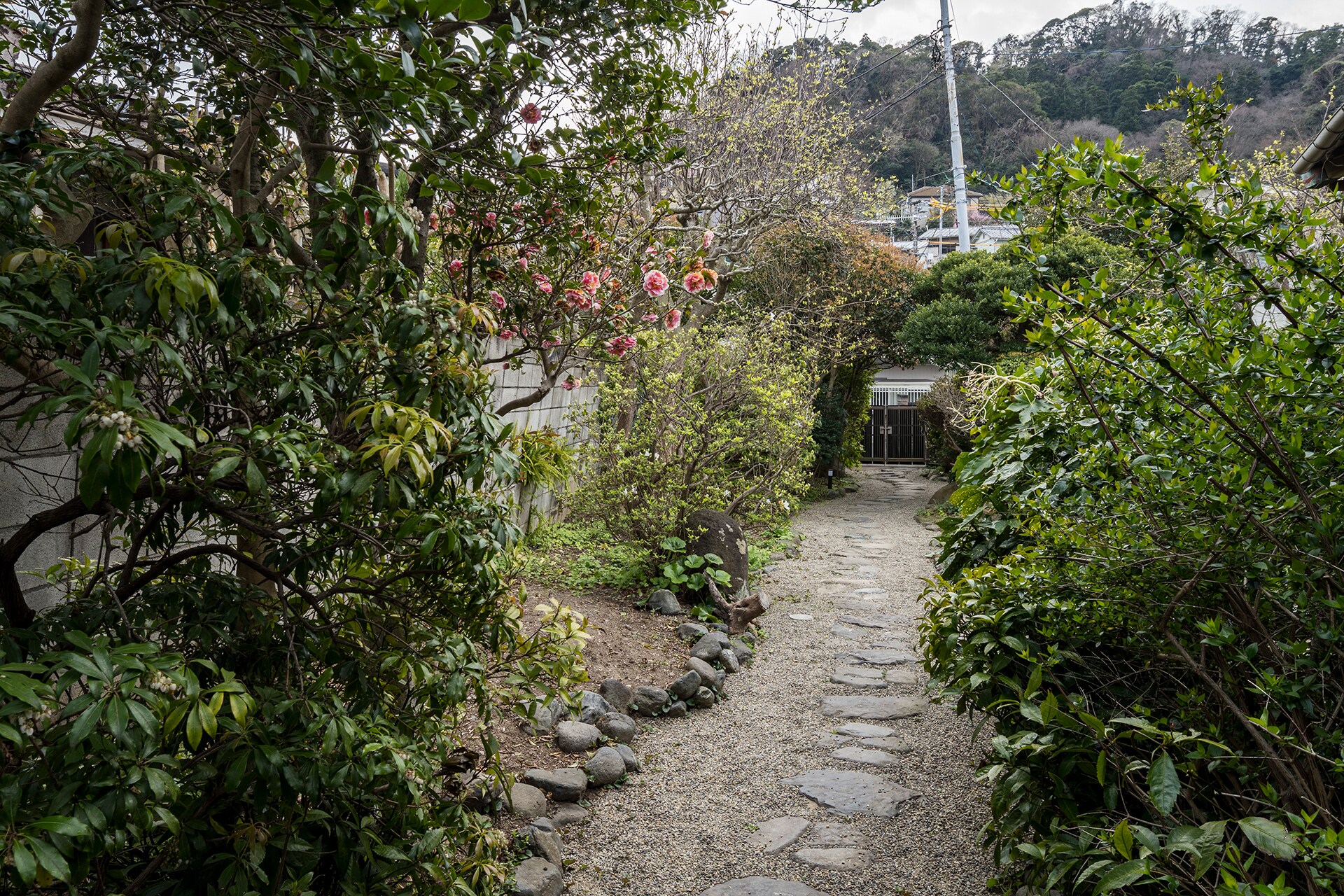 Approach to the entrance