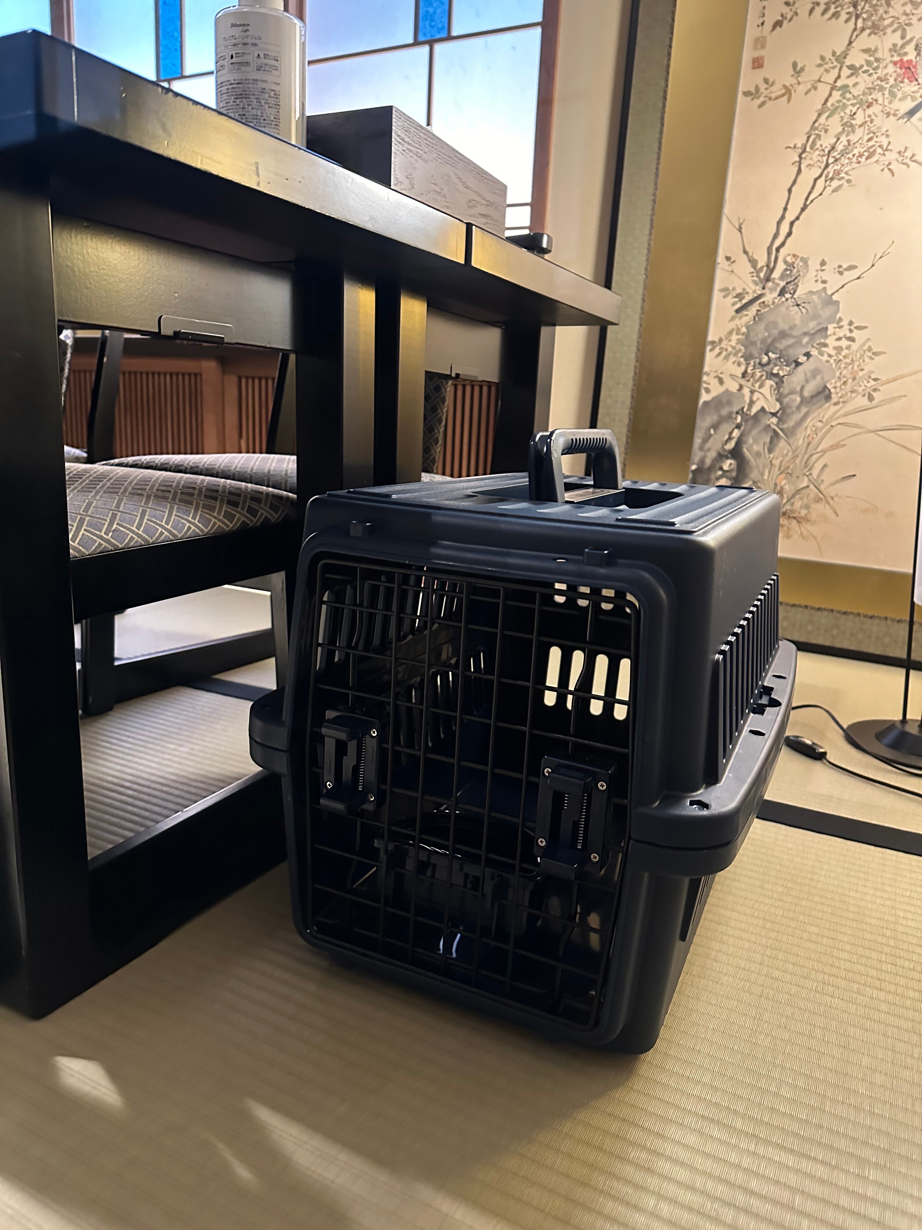 On a trial basis, dogs can be brought to the dining area if you bring a crate.