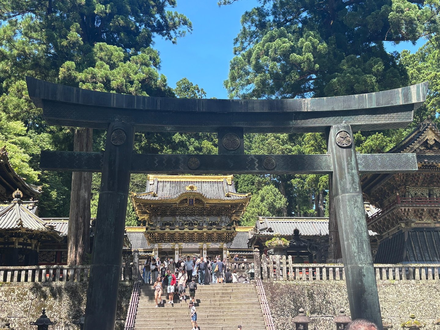 IMG_2889.jpeg