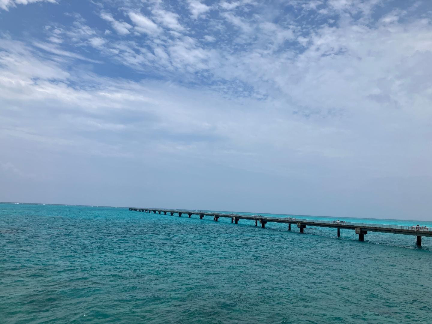 IMG_2447.jpeg