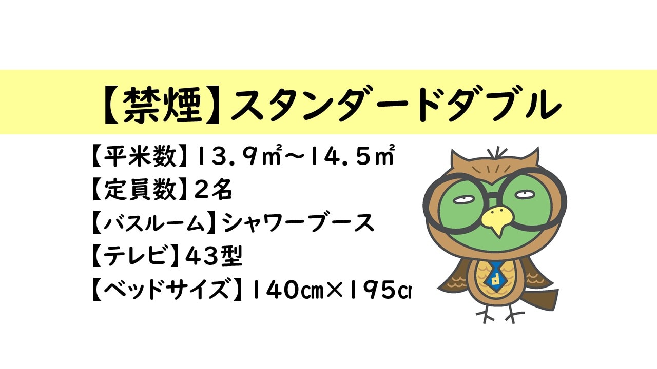 Standard Double Room Overview