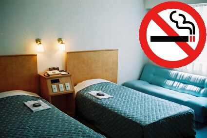 Non-smoking Standard Twin Room