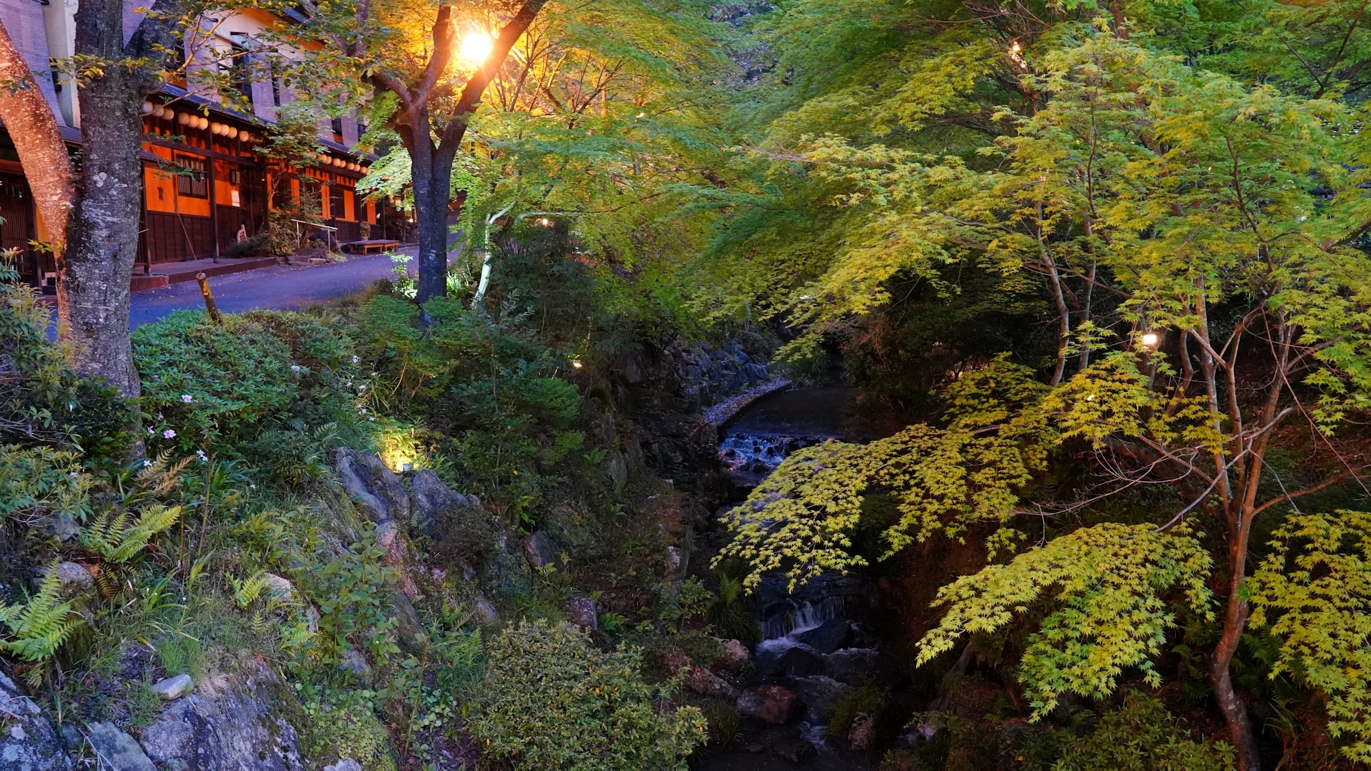 [Scenery] Illuminated scenery at night